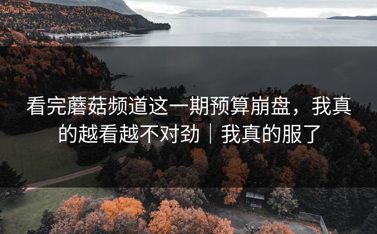 看完蘑菇频道这一期预算崩盘，我真的越看越不对劲｜我真的服了
