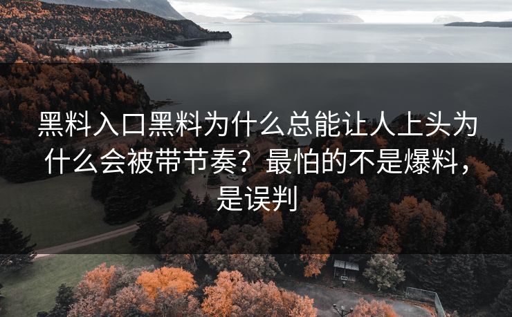 黑料入口黑料为什么总能让人上头为什么会被带节奏？最怕的不是爆料，是误判